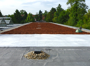 Test on the combination of green roof and solar